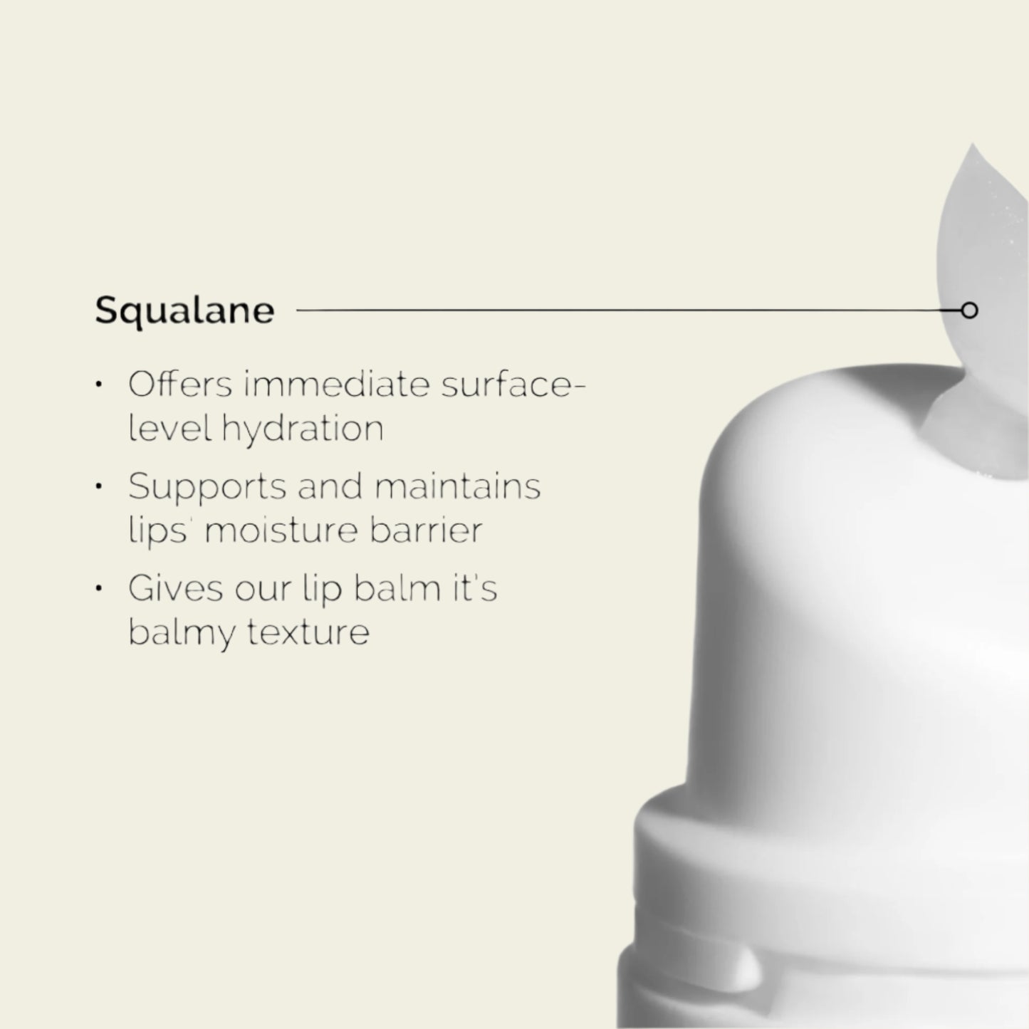 The Ordinary Squalane and Amino Acids Lip Balm 15ml