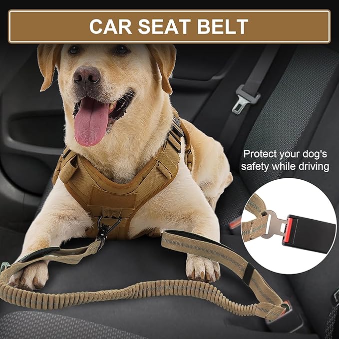 Heavy Duty Dog Lead with Padded Handles