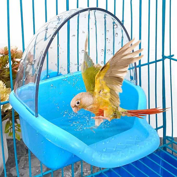 Bird Bath Tub