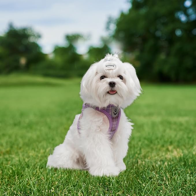 Classic Plaid Step-in Dog Harness with Adjustable Collar