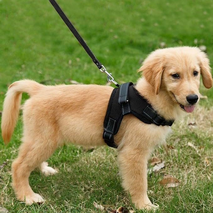 Dog Harness Vest Collar Hand Strap
