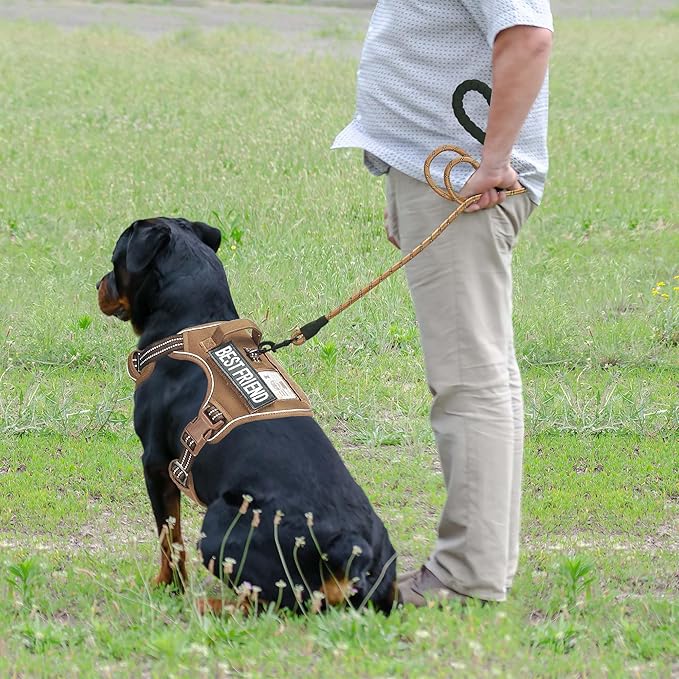 Haapaw Heavy Duty Tactical Dog Harness for Large Dogs