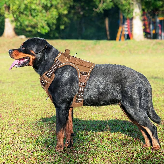 Haapaw Heavy Duty Tactical Dog Harness for Large Dogs