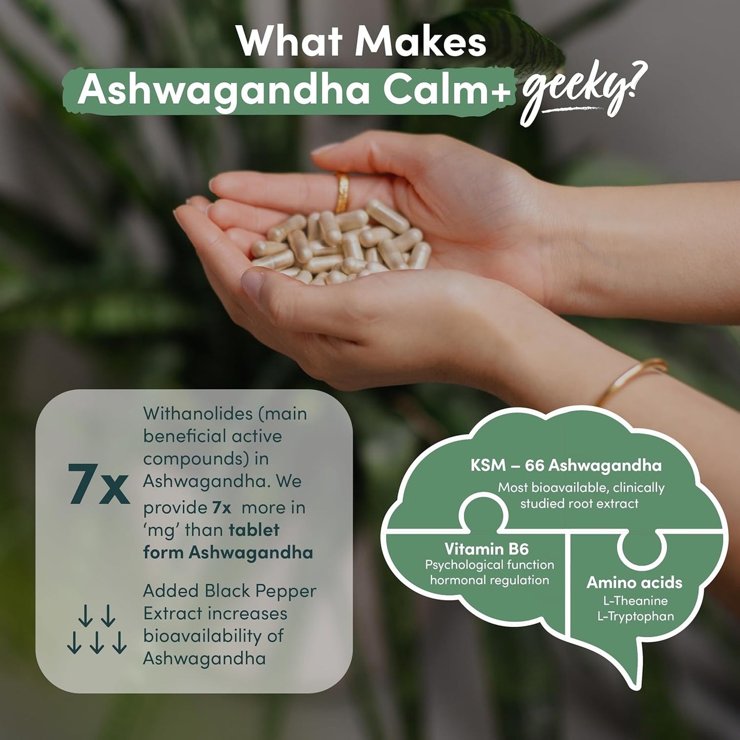 Ashwagandha Calm+ KSM-66 Complex | 3000mg High Strength with Amino Acids & Vitamin B6 | 2-Month Supply (60 capsules) | Vegan, UK Made