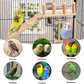 TeTupGa Hamster Bird Perches Cage