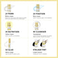 Upgraded Lash Lift & Tint Kit Semi Permanent Eyelash Curling Perm Dye Set Professional Long Lasting Curl Supplies For Beauty Salon DIY Home Lash Makeup Tools