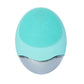 Electric Facial Cleansing Brush Massage Spa Skin Instrument Pore Cleaner Meter Cleaning Cleanser Tools
