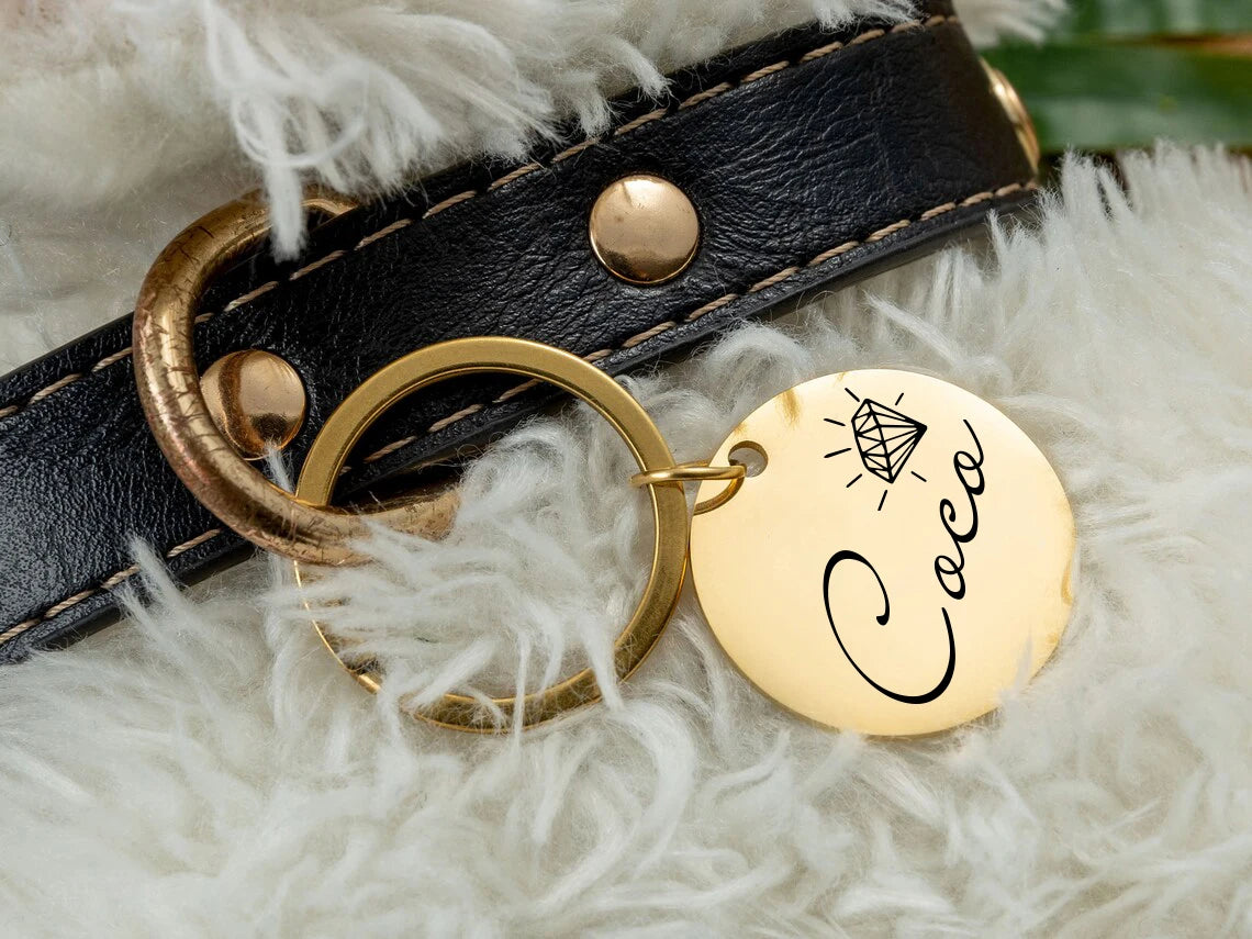 Customized pet nameplate with circular stainless steel text, digital engraved dog and cat collar ID tag, name, phone number,