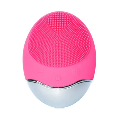 Electric Facial Cleansing Brush Massage Spa Skin Instrument Pore Cleaner Meter Cleaning Cleanser Tools